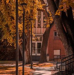 St. Stephen's College, at the University of Alberta, Edmonton, AB opening hours