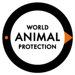 World Animal Protection Canada, Toronto, ON opening hours