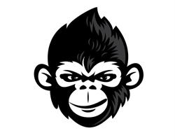 Crazy Ape Extreme Equipment, Regina, SK opening hours