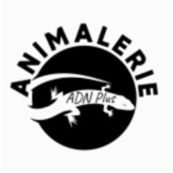 Animalerie ADN Plus, Kahnawake, QC opening hours