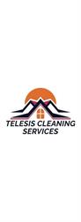 Telesis Cleaning Services, Lasalle, ON opening hours
