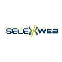 SelexWeb Inc., Edmonton, AB opening hours