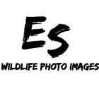 Es Wildlife Photo Images, Prince George, BC opening hours