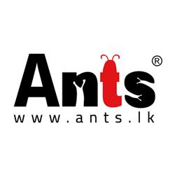 Ants Creation (Pvt) Ltd, Brossard, QC opening hours