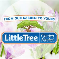 Little Tree Garden Market, Fergus, ON opening hours