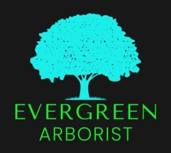 Arborist Evergreen, Chalk River, ON opening hours