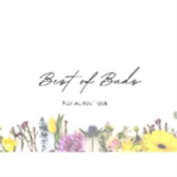 Best of Buds, Calgary, AB opening hours