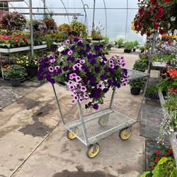 Meadow Green Greenhouses, Meadow Lake, SK opening hours