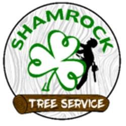Shamrock Tree Services, Brandon, MB opening hours