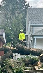 Woodlands Tree Care Ltd., St. Albert, AB opening hours