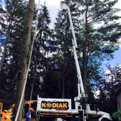 Kodiak Tree Services, Caledonia, ON opening hours