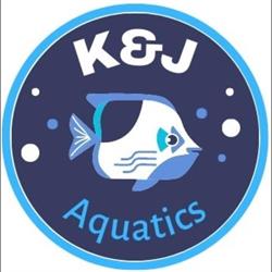 KJ Aquatics Swim School Toronto Midtown, opening hours