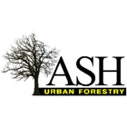 Ash Urban Forestry, Keswick, ON opening hours