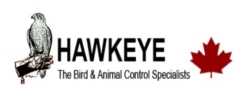 Hawkeye Bird and Animal Control & Falconry Experience North York, opening hours