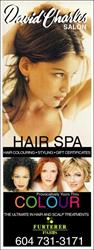 David Charles Hair Salon, Vancouver, BC opening hours