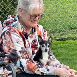 Hometown Kennels & Grooming, Princeton, ON opening hours