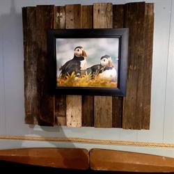 The Puffin, Queensville, ON opening hours