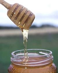 Alberta Premium Honey, Red Deer, AB opening hours