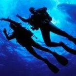 Sub Sea Experience Dive Centre, North Saanich, BC opening hours