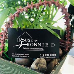 Hair By Ronnie Dancel, Toronto, ON opening hours