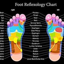 Foot Reflexology By Fk, Kitchener, ON opening hours