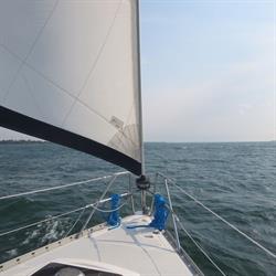 Kingston Sailing Charters, opening hours