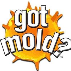 Got Mold? Disaster Recovery Services Inc, Saskatoon, SK opening hours