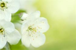 Eve Aesthetics Skincare and Laser Centre, Burnaby, BC opening hours