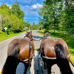 Centre d'Équitation Ranch Chez Ti-Gars, Lévis, QC opening hours
