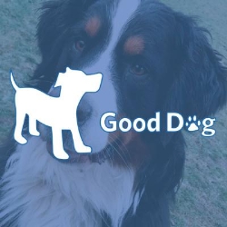 Good Dog Rocky Point, Port Moody, BC opening hours