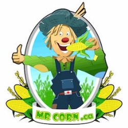 Mr Corn BBQ catering & Food Truck Co, North York, ON opening hours