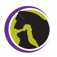 Cataraqui Pet Hospital, Kingston, ON opening hours