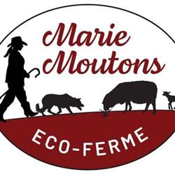Éco Ferme Marie Moutons, Sainte-Anne-de-la-Perade, QC opening hours