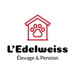 L'Edelweiss, Élevage & Pension pour chiens, Saint-Gabriel-de-Brandon, QC opening hours