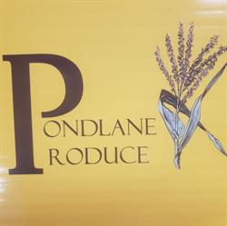 Pondlane Produce, Ingersoll, ON opening hours