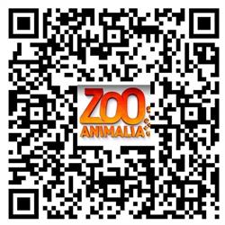 Zoo Animalia - Refuge pour animaux, Saint-Édouard-de-Maskinongé, QC opening hours