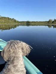 Riverview Kayaking and Wellness, Seagrave, ON opening hours