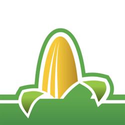 Thamesville Maize, opening hours