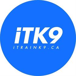iTrainK9 Dog Training, Waterford, ON opening hours