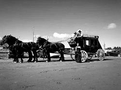 Double T Percherons, Red Deer County, AB opening hours