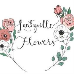 Lantzville Flowers, opening hours