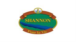 Ville de Shannon, opening hours