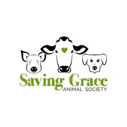 Saving Grace Animal Society, Alix, AB opening hours