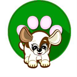HUB PUPPY, Cobden, ON opening hours