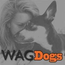 WAGDogs Dog Training and Consulting in Sidney and nearby areas, opening hours