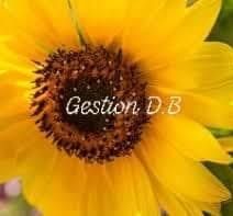 Gestion DB, Mandeville, QC opening hours