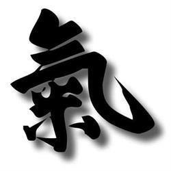 Canuck Ki Aikido, Calgary, AB opening hours