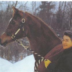 Best Bet Feed and Tack Store, Canning, NS opening hours