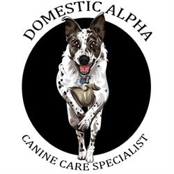 Domestic Alpha, Kitchener, ON opening hours