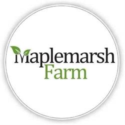Maplemarsh Farm, Stella, ON opening hours